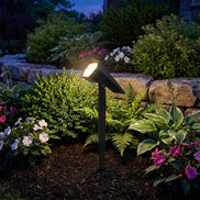 Solar spike light glowing in a landscaped garden bed at night